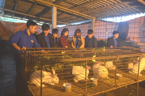  	ảnh: Ban Chấp hành Đoàn Công ty TNHH Một thành viên môi trường và công trình đô thị Hưng Yên chăm sóc mô hình nuôi thỏ